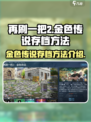 再刷一把2金色传说存档怎么存介绍