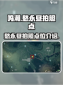 鸣潮愁永昼拍照点在哪里介绍