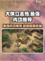 大侠立志传🔥最强内功推荐，练成无敌%!