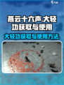 燕云十六声大轻功怎么获取介绍