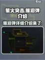 萤火突击催泪弹是什么介绍