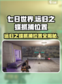 七日世界远归之蝶在哪里抓介绍