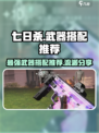 七日世界最强武器搭配推荐介绍