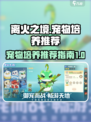 离火之境宠物推荐介绍