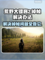 荒野大镖客2掉帧？这些解决办法让你畅爽游戏🔥🎮