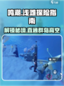 鸣潮浅滩群岛之间怎么上去介绍