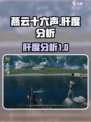 燕云十六声肝不肝介绍
