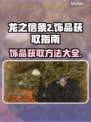 龙之信条2🔥饰品获取大全，轻松get✨