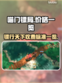 喵门镖局价格曝光！🔥阴阳师玩家必看🔥
