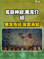 阴阳师：龙息神寂黑龙🔥超详细图鉴来了！
