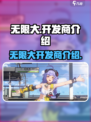 无限大是哪个公司的介绍
