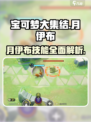 宝可梦大集结🔥月伊布超强详细介绍来啦！