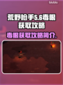 荒野行动🔥枪巫毒眼获取攻略💎