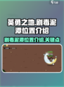 英勇之地手游🔥剧毒泥潭位置大揭秘！💥