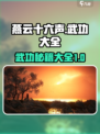 燕云十六声武功大全介绍