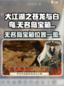 大江湖之苍龙与白鸟无名岛宝箱在哪介绍