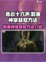 燕云十六声如来神掌如何获取介绍