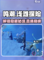 鸣潮⚡浅滩群岛之间怎么上去？快来看看秘籍！