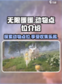 无限暖暖动物点位大揭秘！萌宠等你来⭐