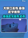 大侠立志传🔥最强武学推荐，练成无敌%!