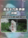 燕云十六声🔥界碑作用全解析，必看攻略！