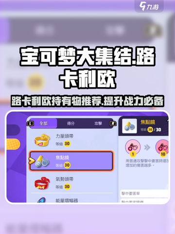 宝可梦大集结🔥路卡利欧最强道具搭配✨截图1