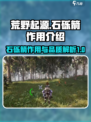 荒野起源石砾箭作用是什么介绍