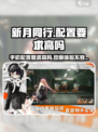 新月同行配置要求高吗介绍