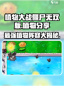 植物大战僵尸无双版🔥超强植物阵容大揭秘！