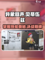 异象回声贝蒂伍兹怎么玩介绍