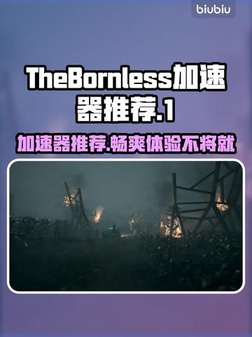 TheBornless加速器哪款好？玩游戏不卡必备🔥🎮截图1