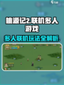 桃源记2可以联机吗介绍