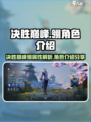 决胜巅峰翎好用吗介绍