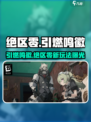 🔥《绝区零》引燃鸣徽大揭秘！🎮