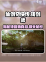 仙剑奇侠传🔥铸剑师竟是他！游戏隐藏彩蛋大揭秘