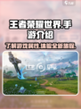 王者荣耀世界是手游还是电脑游戏介绍