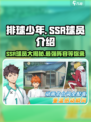 排球少年手游(SSR球员全解析💥)