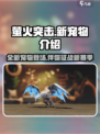 萤火突击ss4赛季新宠物有哪些介绍