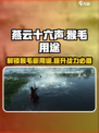 燕云十六声猴毛是什么介绍