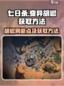 七日世界胡椒刷新点在哪里介绍