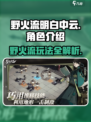 野火流明白中云超强攻略🔥带你轻松上分！