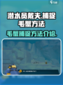 潜水员戴夫毛蟹怎么抓介绍