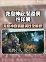 龙息神寂装备属性大揭秘🔥游戏党必看！