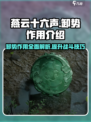 燕云十六声：卸势秘技🔥游戏制胜关键！