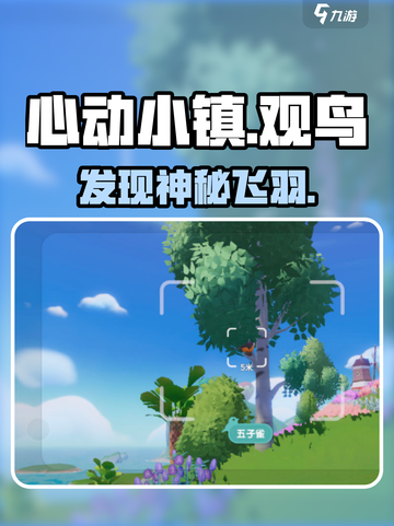心动小镇观鸟秘籍！🐦速看截图1