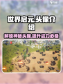 世界启元头像大全🔥游戏党必看！💎