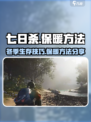 七日世界温暖怎么加介绍