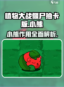 植物大战僵尸抽卡版小熊🔥超全介绍来啦！