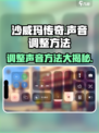 沙威玛传奇为啥大家没声音介绍