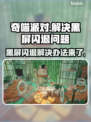 奇喵派对黑屏闪退？👇官方解决办法来了！💥